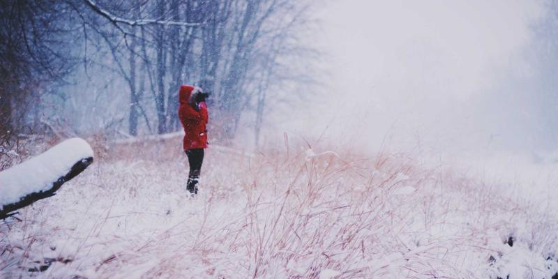 从幽默短片到奇葩台：创意内容如何引爆搞笑视频新浪潮