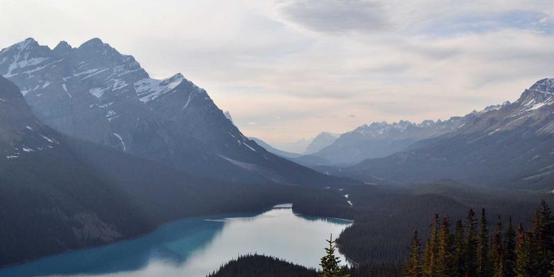 复古喜剧引爆短视频：创意内容如何借经典IP打造爆款搞笑视频