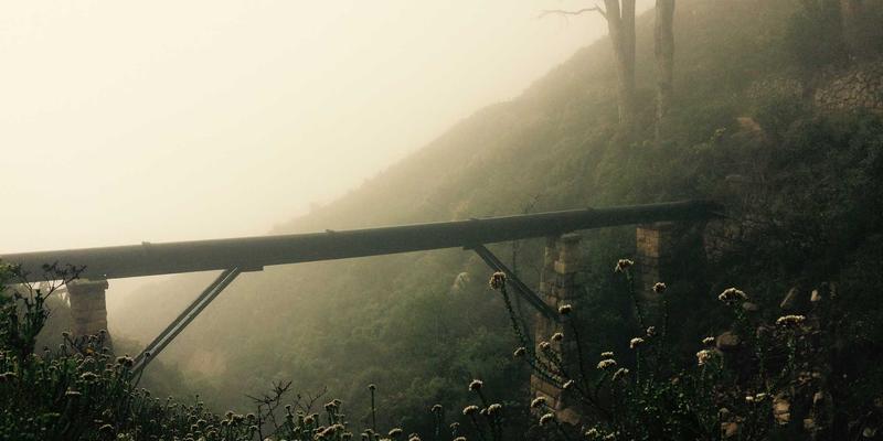 复古风搞笑视频热潮：创意内容如何用怀旧元素引爆娱乐分享