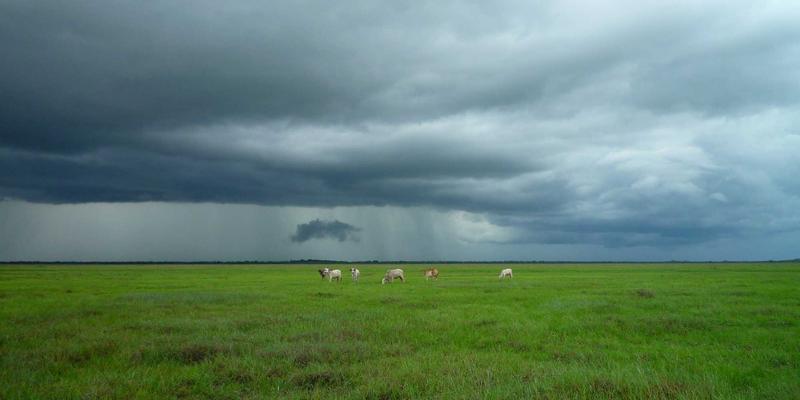 奇葩台搞笑视频21:解码当代人的快乐密码与娱乐新趋势
