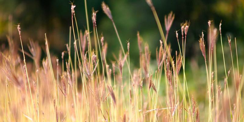 奇葩台爆笑合集：27个让你笑到缺氧的幽默短片，拯救你的不开心