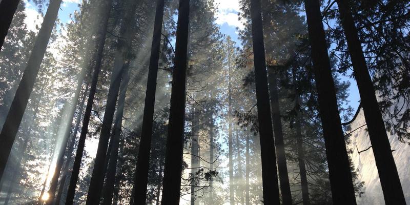 奇葩台秘籍：如何用娱乐分享把硬核科普变爆笑创意内容