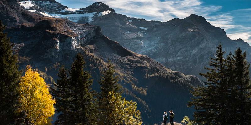 娱乐分享新视角：幽默短片如何成为情绪调节的创意内容