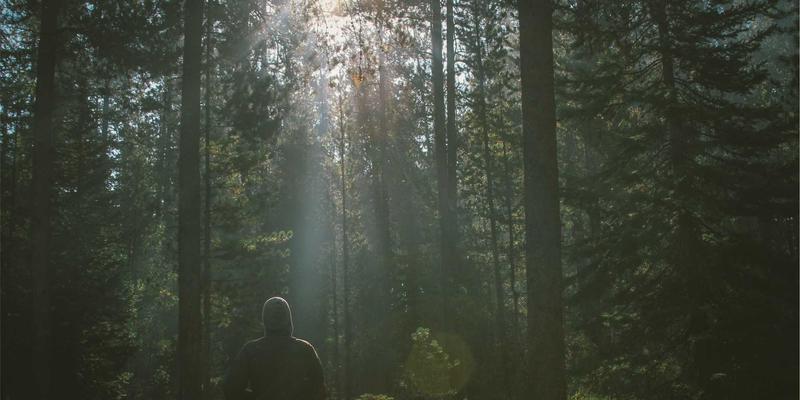 搞笑视频28：娱乐分享时代的幽默短片如何点亮日常