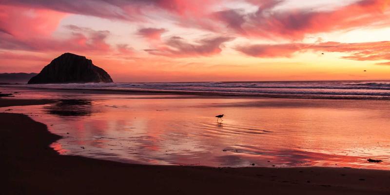 搞笑视频51：幽默短片如何用创意内容引爆娱乐分享新潮流