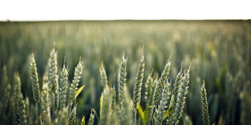 搞笑视频57：解码当代人的快乐密码与幽默新趋势