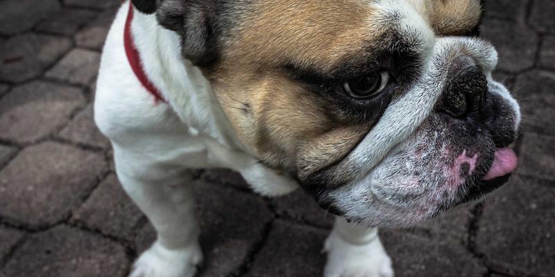 搞笑视频97：当幽默短片遇上奇葩台，创意内容如何引爆全网笑点？