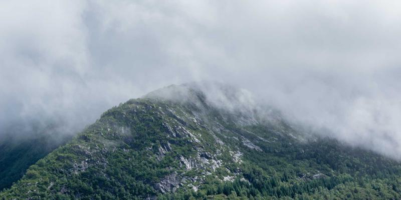 搞笑视频98：解码当代幽默短片的创意密码与娱乐魔力