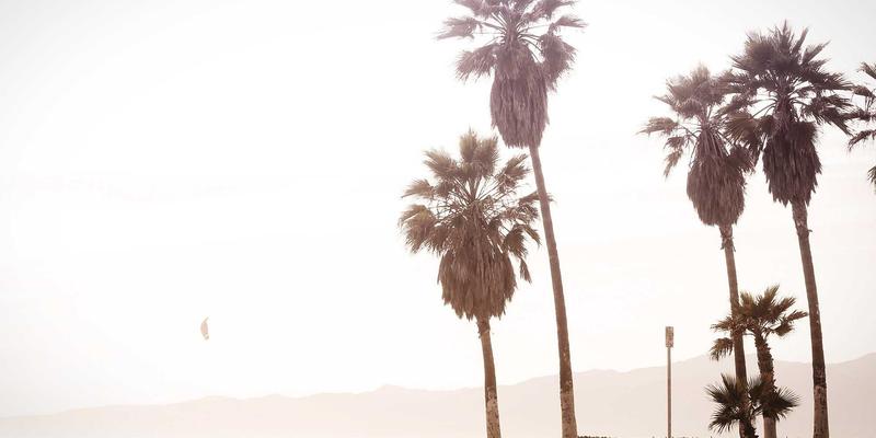 搞笑视频中的文化密码：为什么这些创意内容只有中国人秒懂？