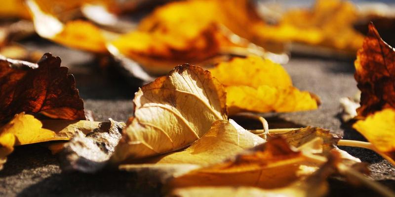 搞笑视频入门指南:从零开始创作爆款幽默短片