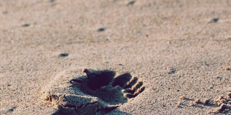 搞笑视频进阶指南：从随手拍到创意爆款，掌握三大核心法则