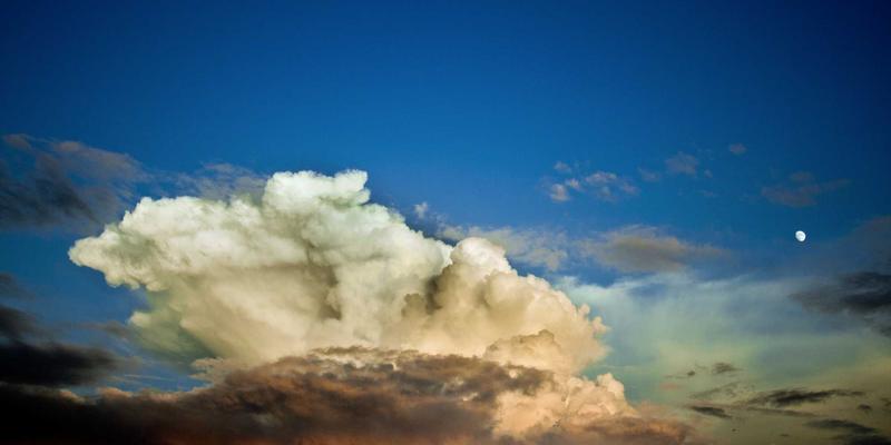 美食翻车视频的喜剧美学：从烹饪灾难到网络狂欢的创意内容解析