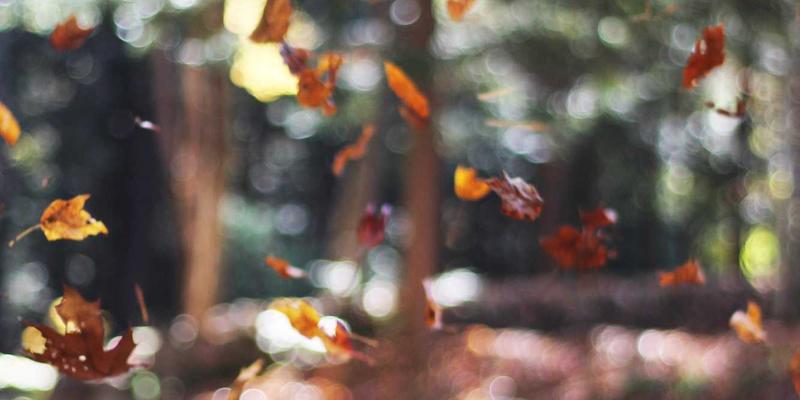 职场搞笑视频的边界与分寸：如何在奇葩台创作幽默短片而不冒犯同事